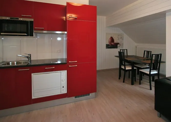 Swiss Star Marc Aurel - Self Check-in